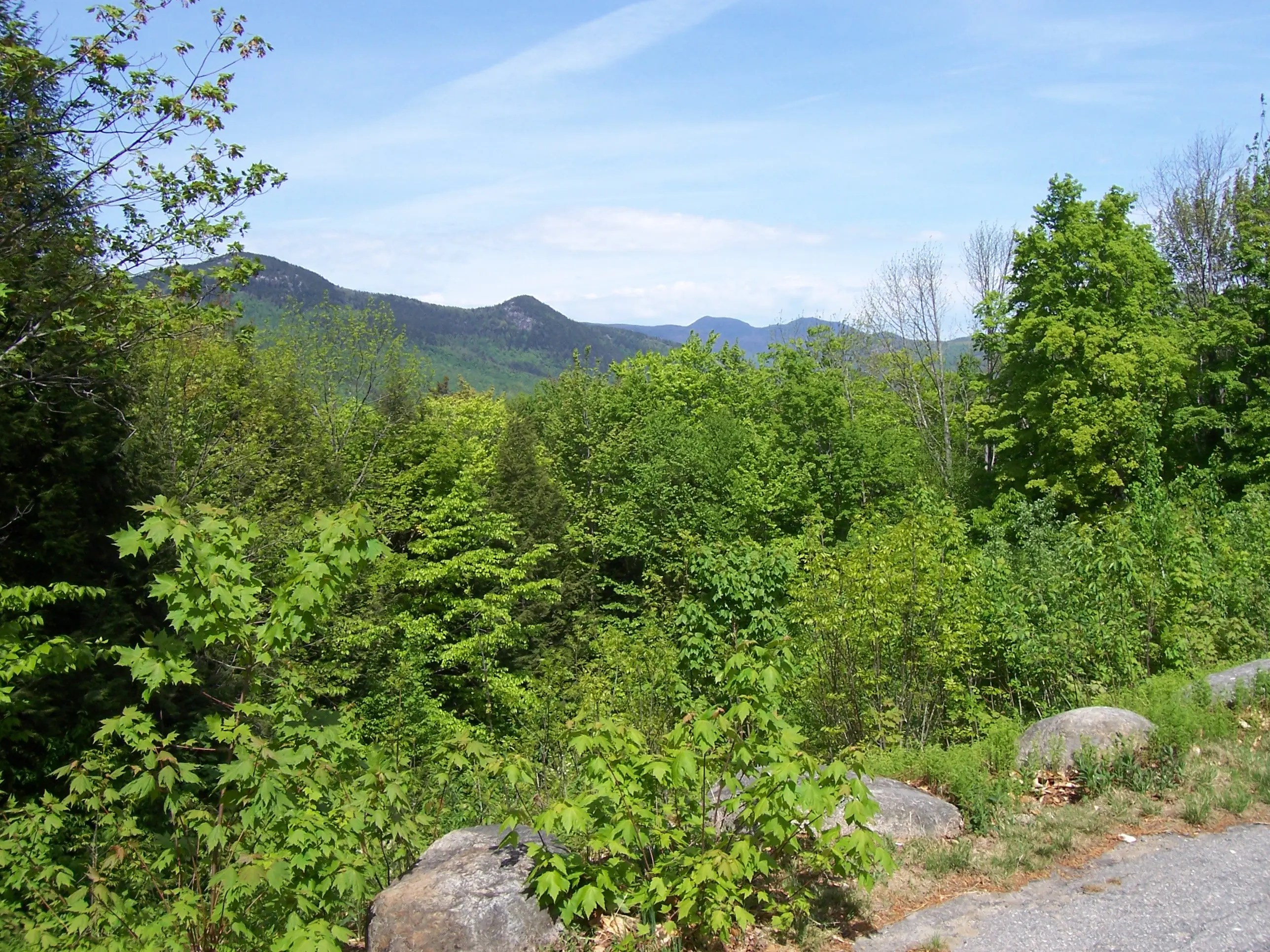 From the first scenic view on Bear Notch Road