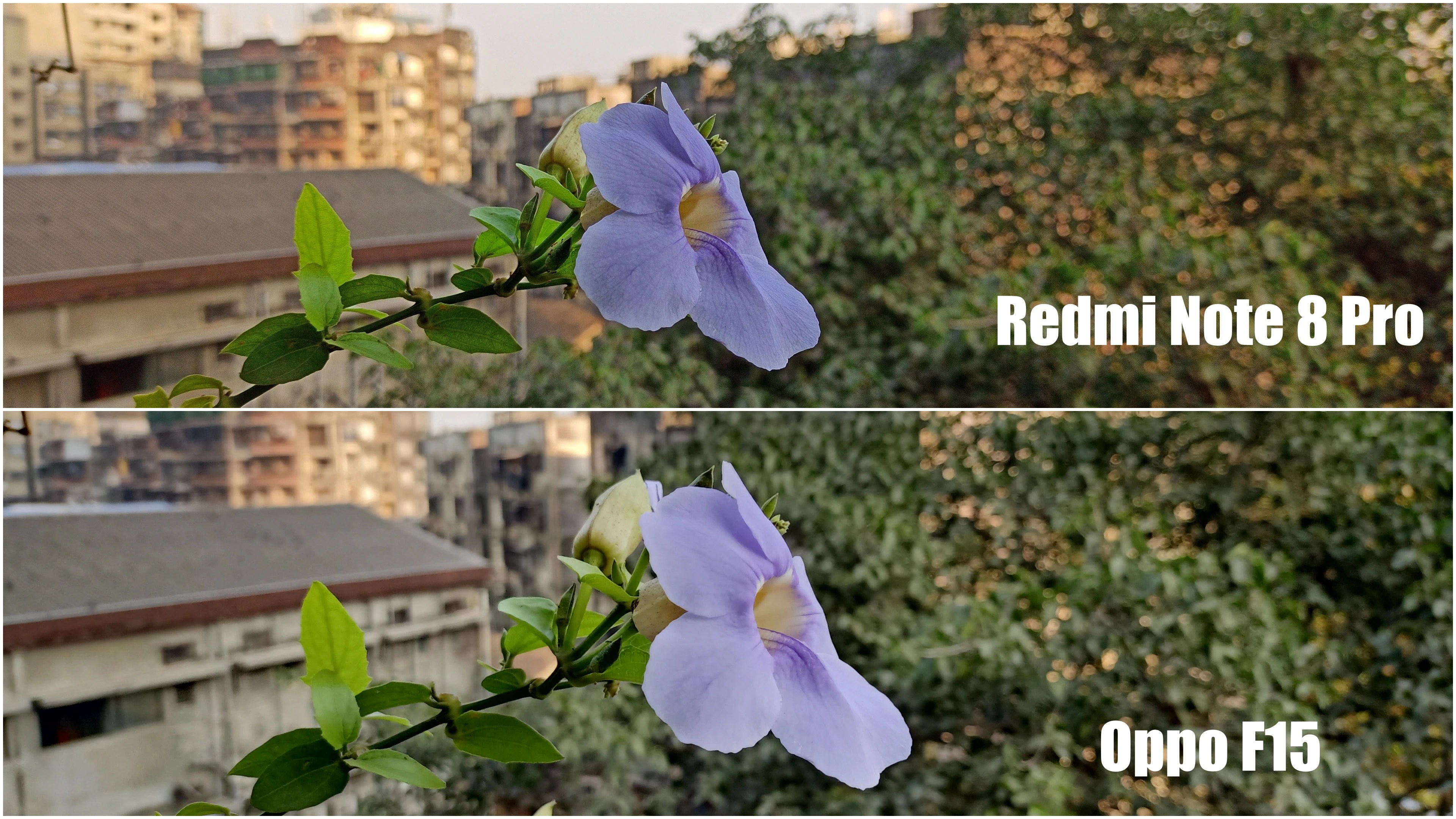 Redmi Note 8 Pro vs Oppo F15 Which is the Best Choice Under Rs. 20,000
