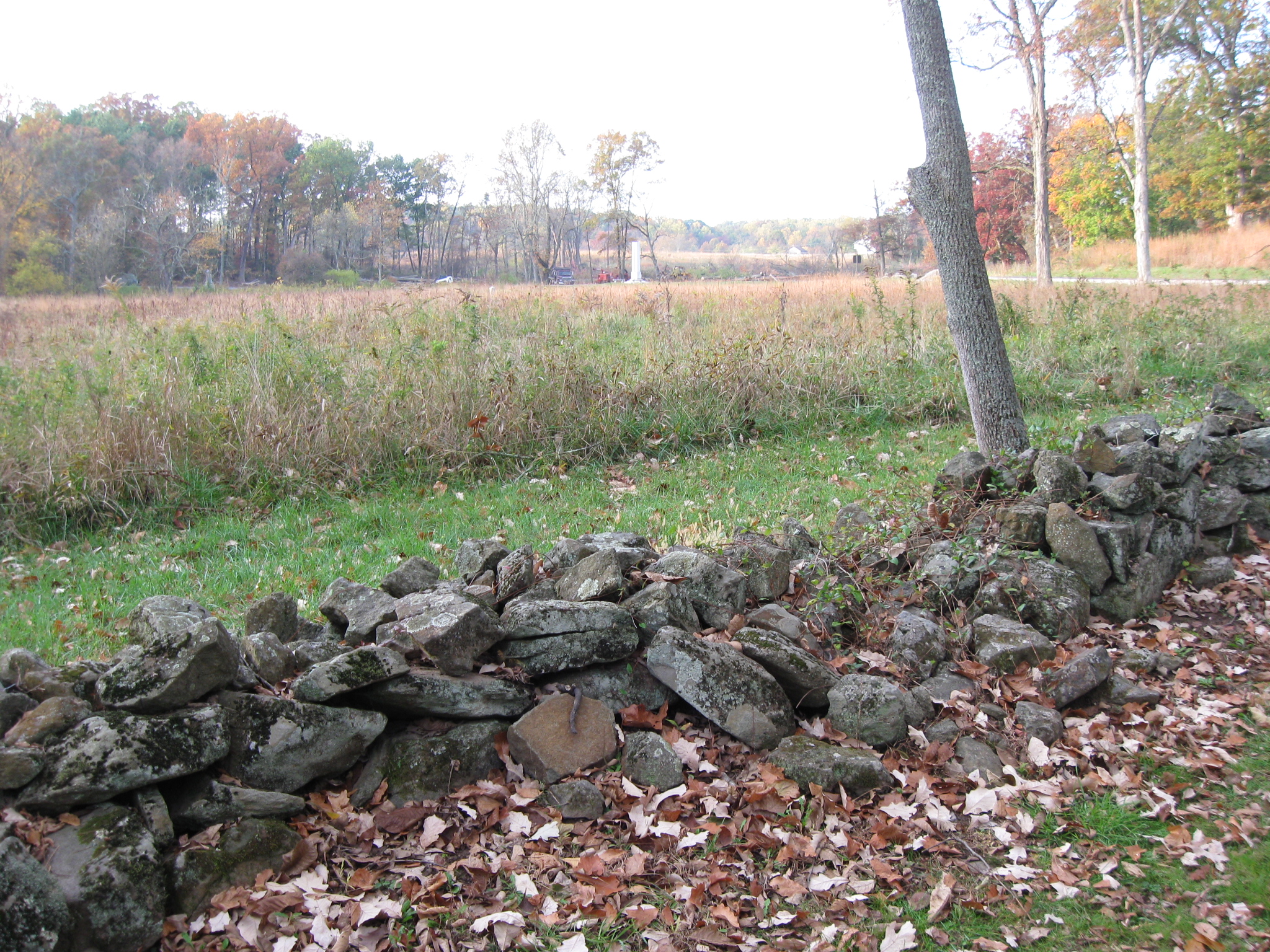 Spangler's Spring Area Tree Removal Progress Gettysburg Daily