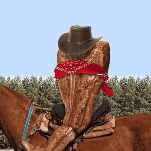Steak western cowboy GIF on GIFER by Oghmaron