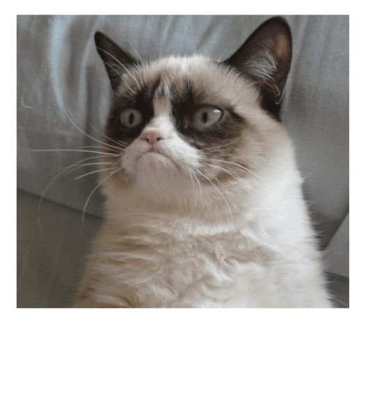 Imagem imagen image GIF on GIFER by Mnenara