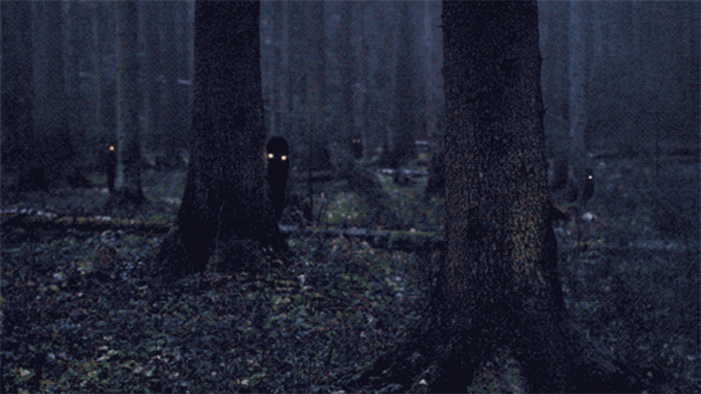 Gif Animais Tier Animaux Animated Gif On Gifer By Flamefang