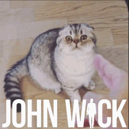 GIF animals animated GIF on GIFER by Kanin