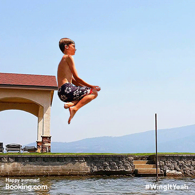 Hungry diving GIF on GIFER by Saberdweller