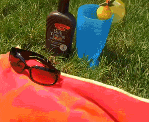 Bright tanning dog GIF on GIFER by Kitilar