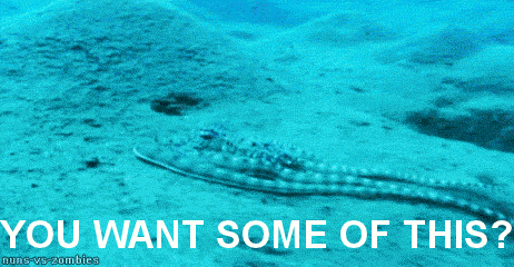 Octopus Gif Nope