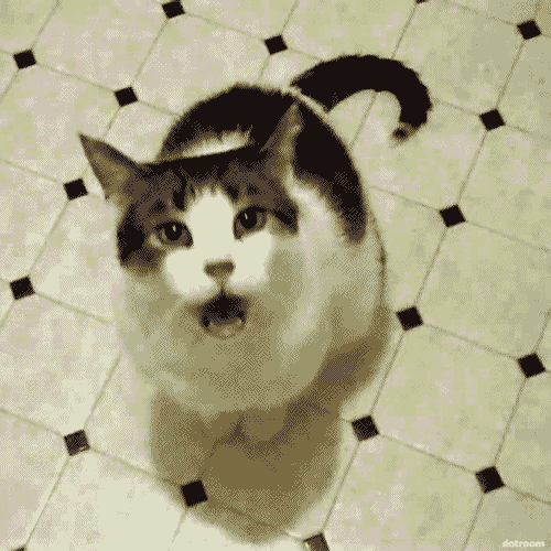 Vampire cat GIF on GIFER by Manahelm