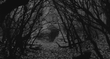 Rocket slow model GIF on GIFER by Kam