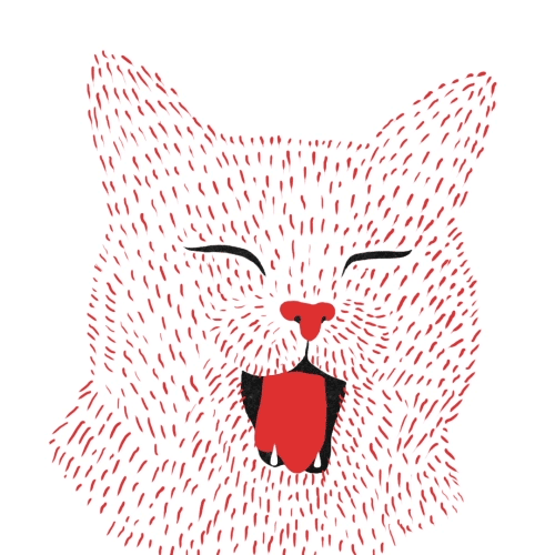 Cat cat yawn GIF on GIFER by Shakarr