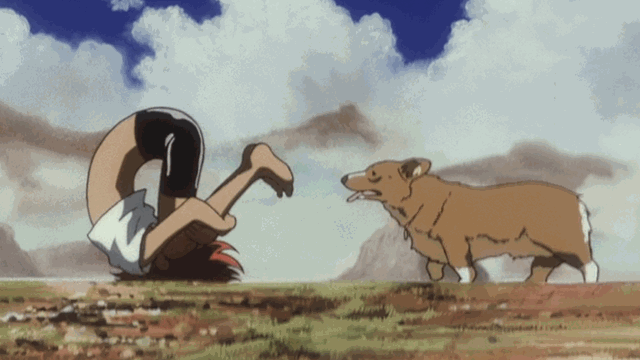 Proper bebop forma GIF on GIFER by Daran