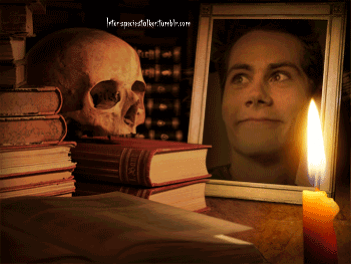 Scott mccall tyler hoechlin ian bohen GIF on GIFER by Tygojas