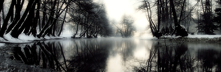 Anime manga bleach GIF on GIFER by Tuktilar