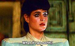 Replicant Artificial Owl Blade Runner Gif On Gifer By Marg