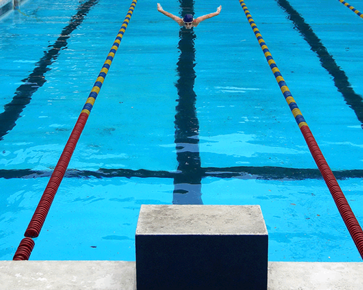 Swimming GIF on GIFER by Ishndwyn