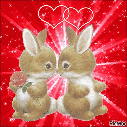 Rabbit GIF on GIFER by Chillstone