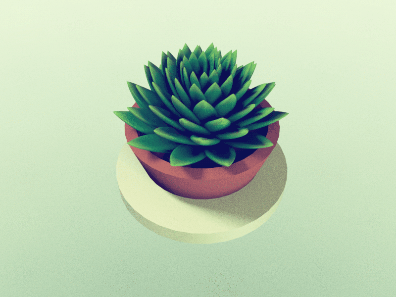 Growth succulent plant GIF on GIFER by Gazilkree