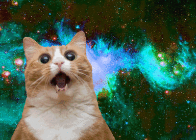 Alton Gata Gif En Gifer De Tygralis