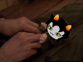 30 rock GIF on GIFER by Morazel