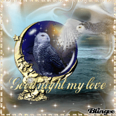 Hibou Chouette Owls Gif On Gifer By Ba