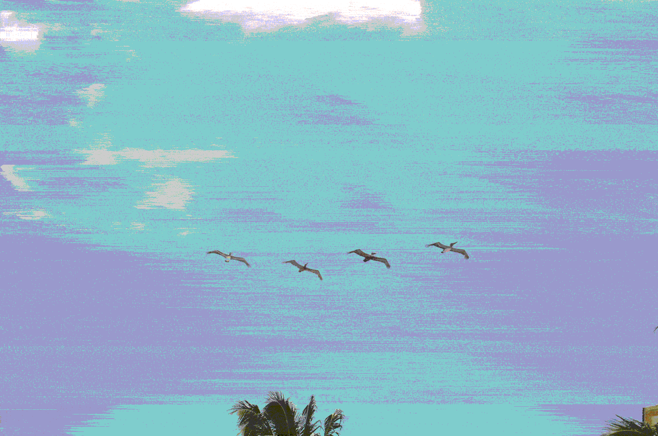 Birthday selena GIF on GIFER by Ariurus