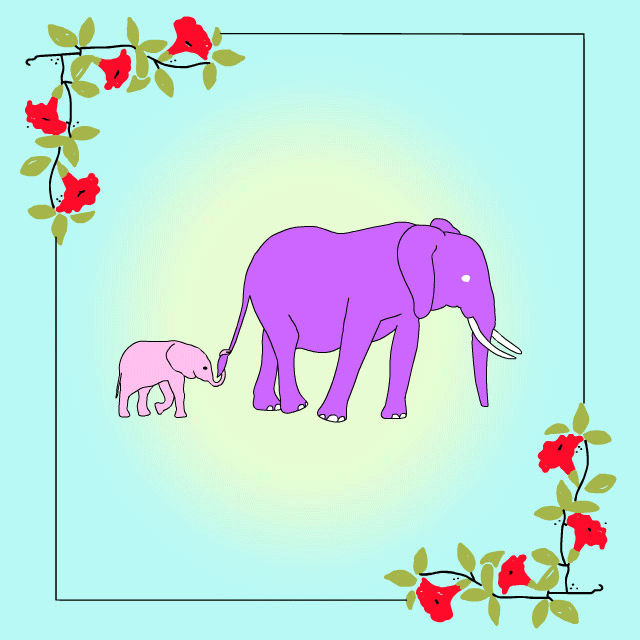 Baby Elephant Gif Tumblr