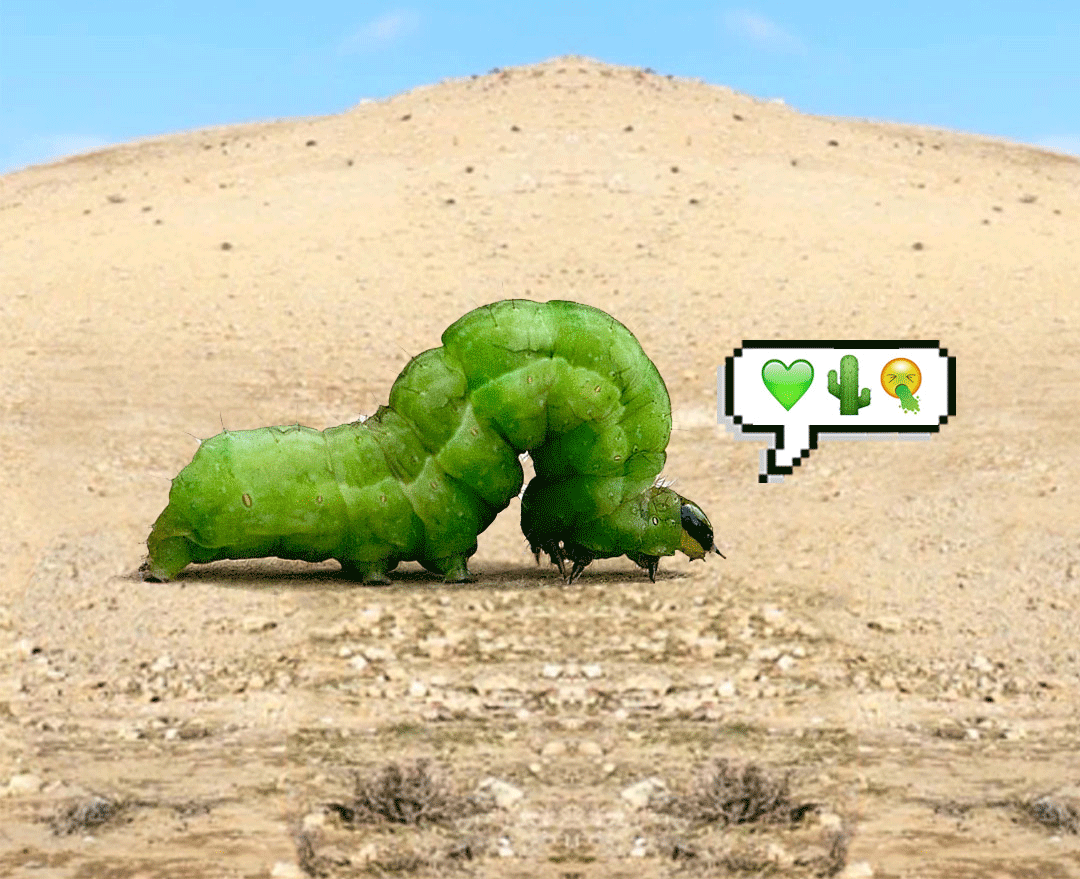 Inchworm emoji ouch GIF Find on GIFER