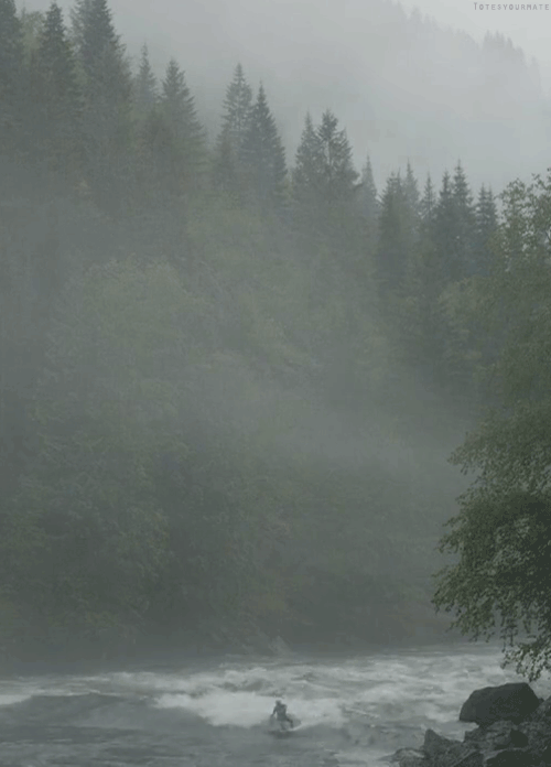 Misty rapids GIF Find on GIFER