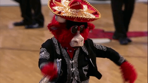 GIF chicago bulls mariachi sports animated GIF on GIFER