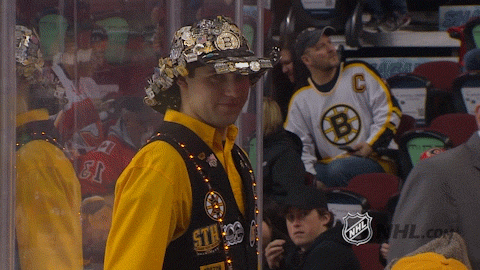 Bruins fan sports hockey GIF Find on GIFER