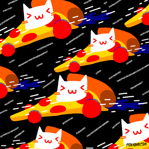 GIF cat cute fox animated GIF on GIFER