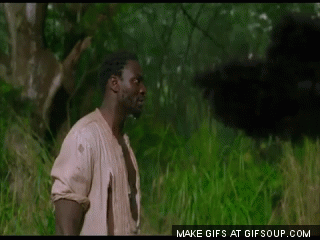 Mr fucking GIF - Find on GIFER