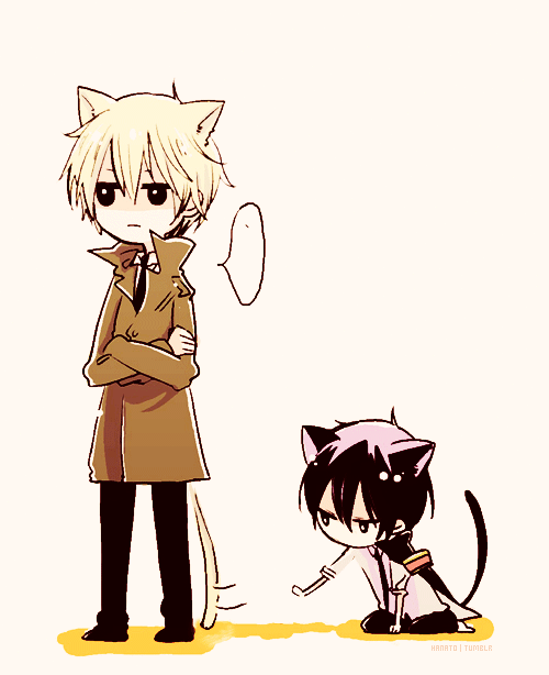 Neko Chibi Gif