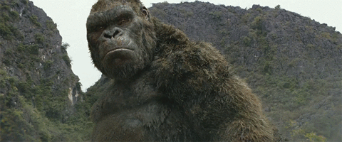 Alguien Jemand Memes Gif Find On Gifer