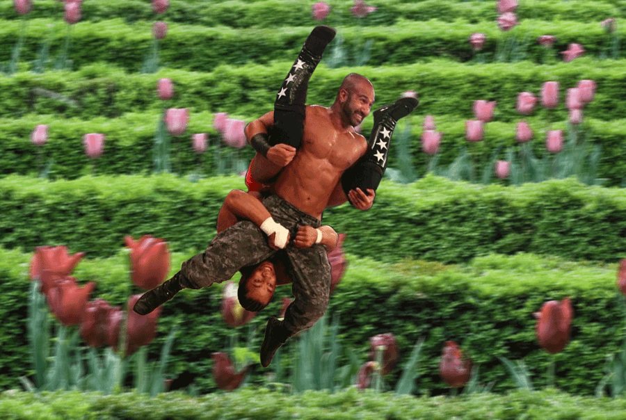 Tulips GIF Find on GIFER