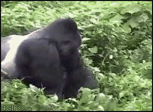 Item Schnappen Yea Gif Find On Gifer