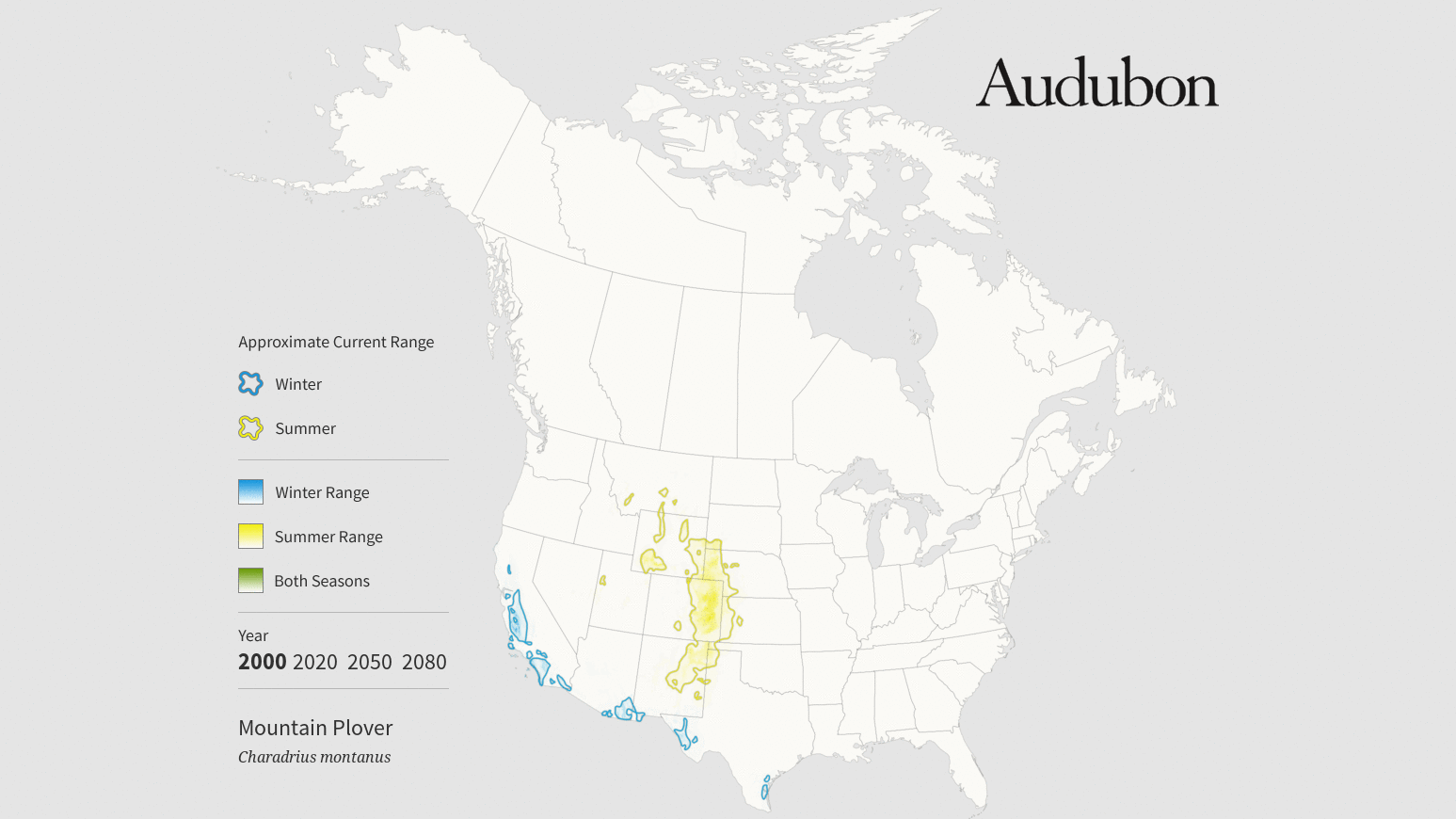 Glen coco GIF Find on GIFER