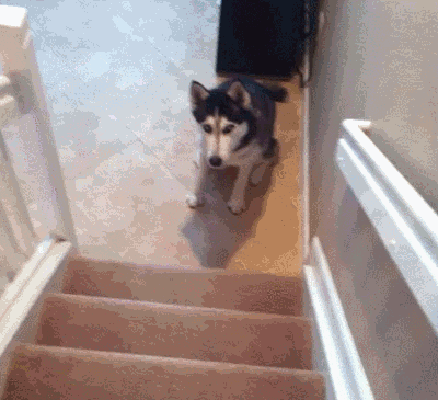 Seeu Hide And Seek Gif