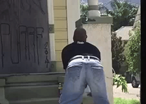 Big Booty Twerk Gifs