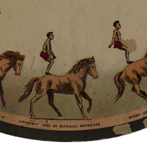 Circus zoetrope horse GIF on GIFER by Taugami
