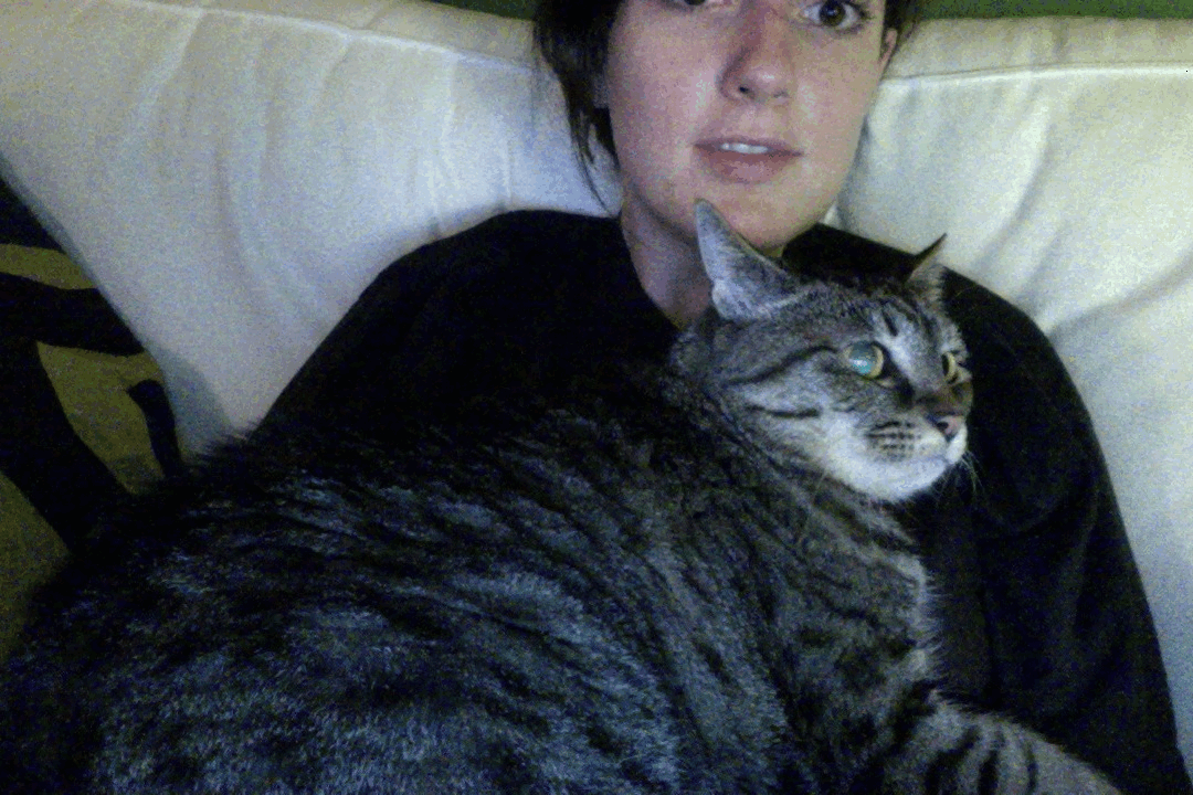 Fat Cat Gif Ffxiv Food Ideas