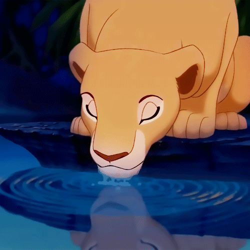 Nala GIF Find on GIFER