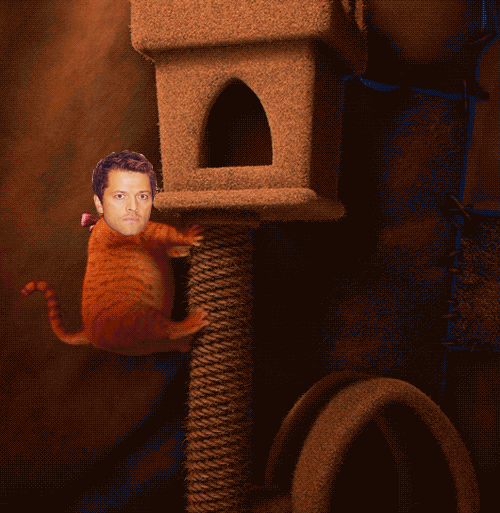 Supernatural misha collins my s GIF Find on GIFER