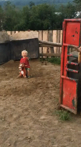 Cowboy GIF Find on GIFER