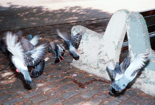 Picnic Gif Buscar En Gifer