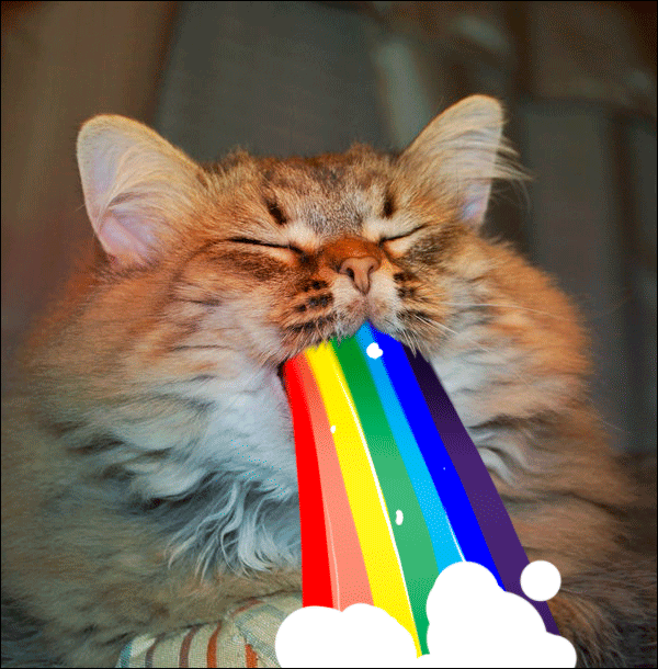 Vomit GIF Find on GIFER