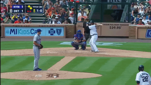 Baseball rally tigers GIF Find on GIFER