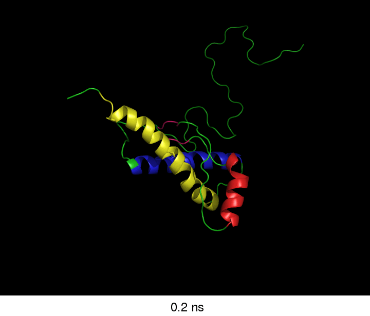 Simulation GIF Find on GIFER