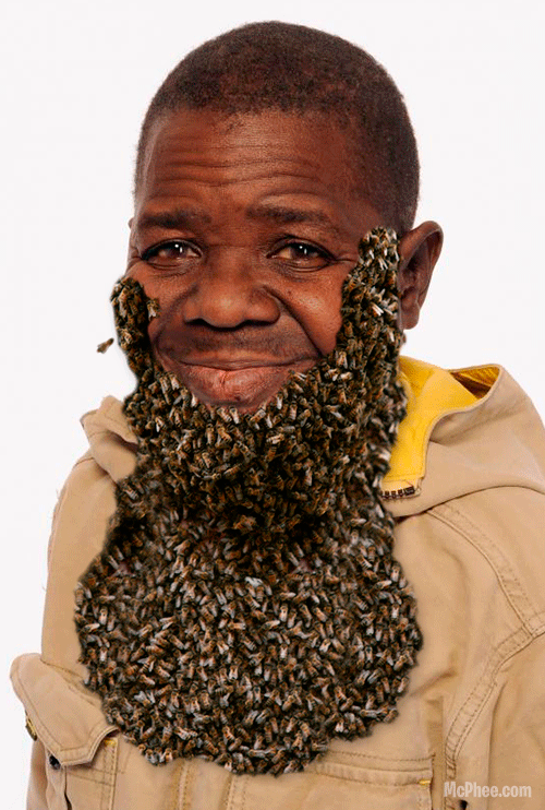 Beard GIF Find on GIFER