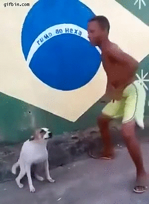 Pule Squelette Skelett Gif Find On Gifer