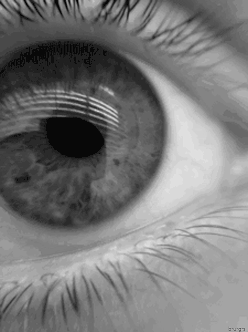 Eye favs GIF Find on GIFER
